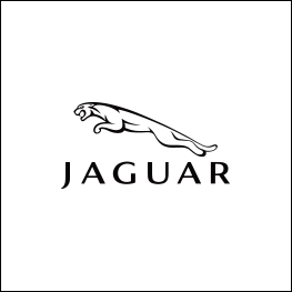 larooptik-jaguar
